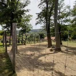 Bőszénfai Szarvasfarm, Bőszénfa - 