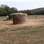 Bőszénfai Szarvasfarm Bőszénfa - 