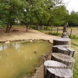 Bőszénfai Szarvasfarm, Bőszénfa - 