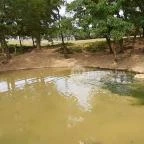 Bőszénfai Szarvasfarm Bőszénfa - 