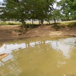 Bőszénfai Szarvasfarm, Bőszénfa - 