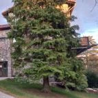 Cardoner Hotel Pilisszentkereszt - Egyéb