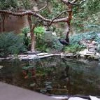 Classic Café Szerb Étterem & Grillkert Szeged - Egyéb