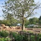 Csipke Porta Vendégház Cserépfalu - Egyéb