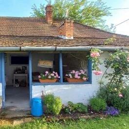 Csipke Porta Vendégház Cserépfalu - Egyéb