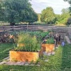 Csipke Porta Vendégház Cserépfalu - Egyéb