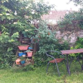 Csipke Porta Vendégház Cserépfalu - Egyéb