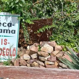 Éger-völgyi Teca Mama Kisvendéglője, Pécs - Egyéb