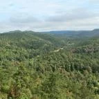 Festetics-kilátó Gyenesdiás - Egyéb