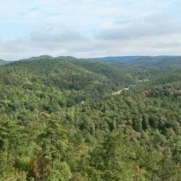 Festetics-kilátó, Gyenesdiás - Egyéb