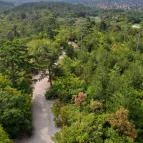 Festetics-kilátó Gyenesdiás - Egyéb