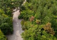 Festetics-kilátó Gyenesdiás