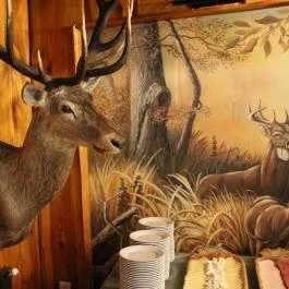 Forster Vadászcsárda Bugyi - Belső