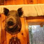 Forster Vadászcsárda Bugyi - Belső