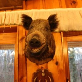 Forster Vadászcsárda Bugyi - Belső