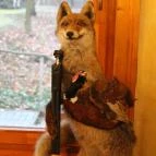 Forster Vadászcsárda Bugyi - Belső