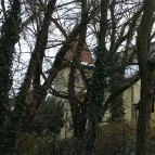 Fried Kastély Hotel Simontornya - Egyéb