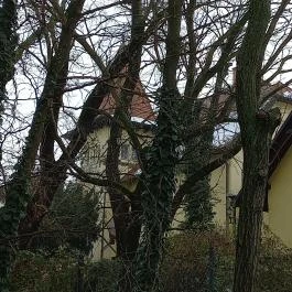 Fried Kastély Hotel Simontornya - Egyéb