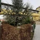 Fried Kastély Hotel Simontornya - Egyéb