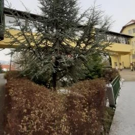 Fried Kastély Hotel Simontornya - Egyéb