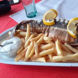 Halászcsárda Dunaföldvár - Egyéb