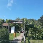 Határmenti Vigadó Bozsok - Egyéb