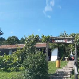 Határmenti Vigadó, Bozsok - Egyéb