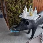 Hercegasszony Birtok Mezőtúr - Egyéb