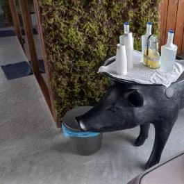 Hercegasszony Birtok, Mezőtúr - Egyéb