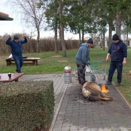 Hercegasszony Birtok, Mezőtúr - Egyéb