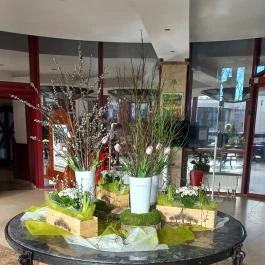 Hotel Kapitány Superior Wellness Sümeg - Egyéb