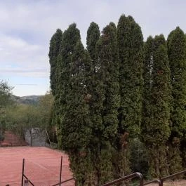 Hotel Narád, Mátraszentimre - Szórakozás/Sport