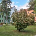 Hotel Vécsecity Hernádvécse - Egyéb