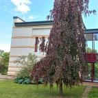 Hotel Vécsecity Hernádvécse - Egyéb