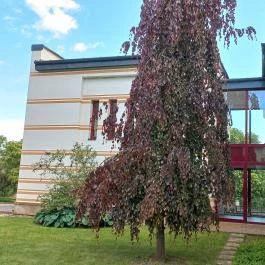 Hotel Vécsecity Hernádvécse - Egyéb