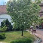 Hotel Vécsecity Hernádvécse - Egyéb