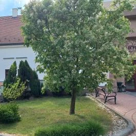 Hotel Vécsecity Hernádvécse - Egyéb