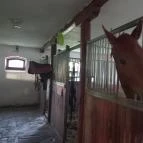 Hotel Vécsecity Hernádvécse - Egyéb