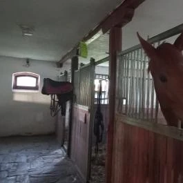 Hotel Vécsecity Hernádvécse - Egyéb