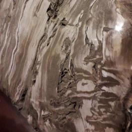 Ipolytarnóci Ősmaradványok Természetvédelmi Terület Ipolytarnóc - Egyéb