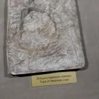 Ipolytarnóci Ősmaradványok Természetvédelmi Terület Ipolytarnóc - 