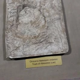 Ipolytarnóci Ősmaradványok Természetvédelmi Terület Ipolytarnóc - Egyéb