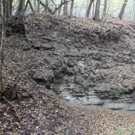Ipolytarnóci Ősmaradványok Természetvédelmi Terület Ipolytarnóc - Egyéb