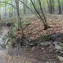 Ipolytarnóci Ősmaradványok Természetvédelmi Terület Ipolytarnóc - Egyéb