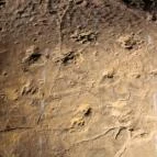 Ipolytarnóci Ősmaradványok Természetvédelmi Terület Ipolytarnóc - 