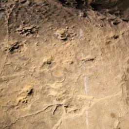 Ipolytarnóci Ősmaradványok Természetvédelmi Terület Ipolytarnóc - Egyéb