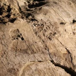 Ipolytarnóci Ősmaradványok Természetvédelmi Terület Ipolytarnóc - Egyéb