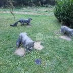 Ipolytarnóci Ősmaradványok Természetvédelmi Terület Ipolytarnóc - 