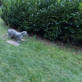 Ipolytarnóci Ősmaradványok Természetvédelmi Terület Ipolytarnóc - Egyéb