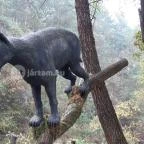 Ipolytarnóci Ősmaradványok Természetvédelmi Terület Ipolytarnóc - 